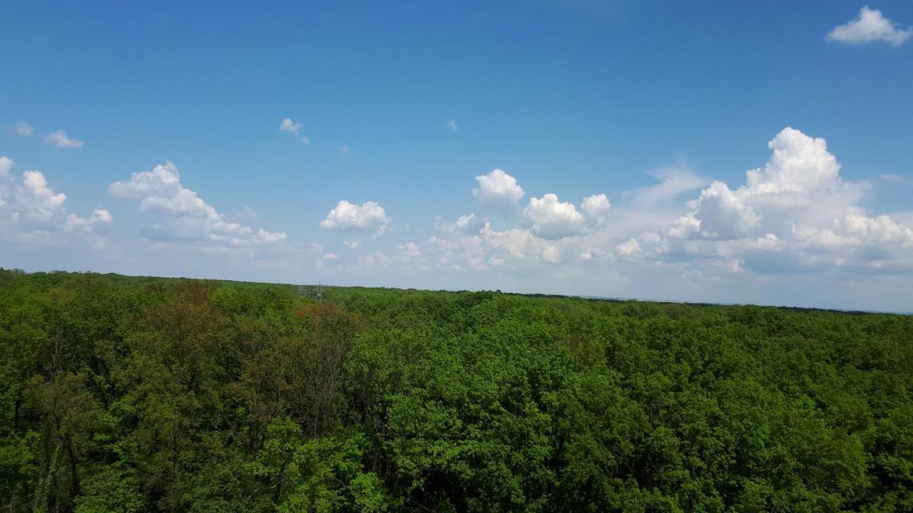 Foresthouse 2 ทิมิชัวรา ภายนอก รูปภาพ