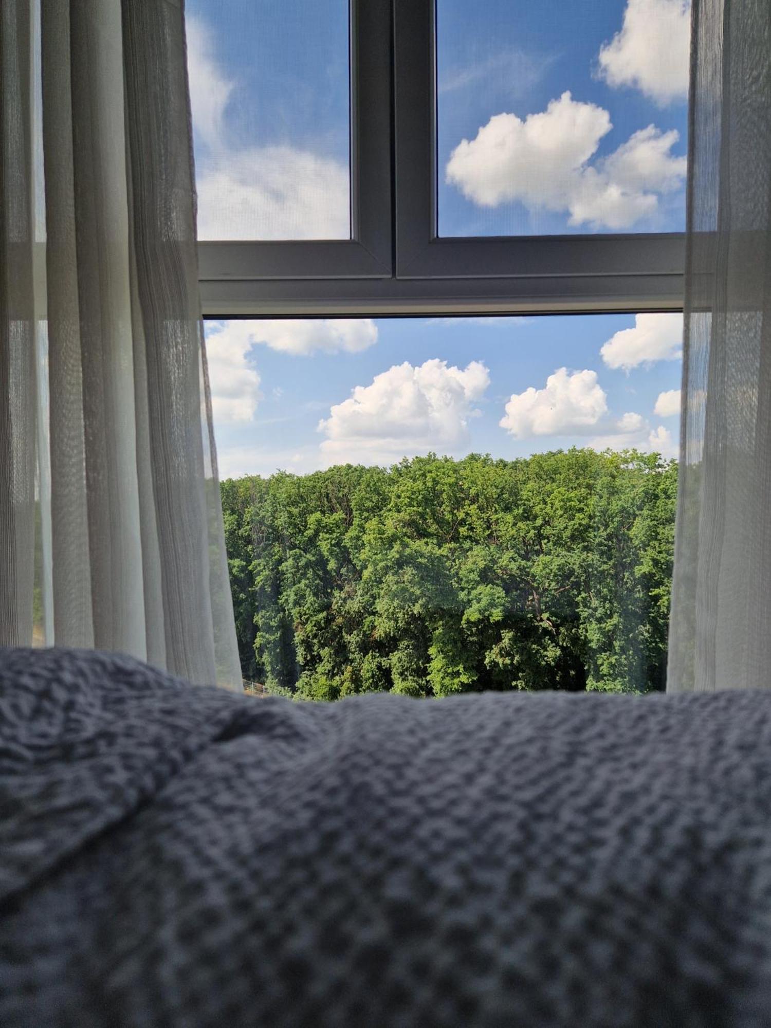 Foresthouse 2 ทิมิชัวรา ภายนอก รูปภาพ